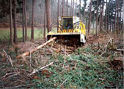 Krohns Forest Tiller while milling of trees and roots